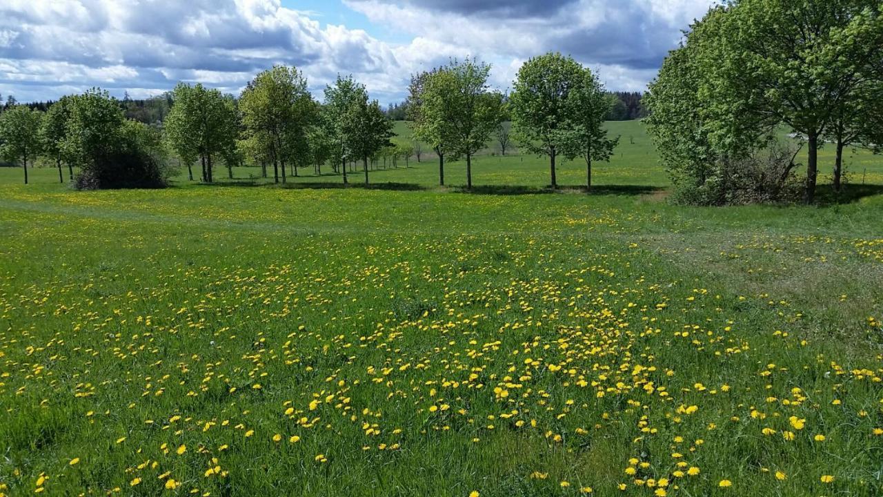 Harzquartier Appartement Friedrichsbrunn Buitenkant foto