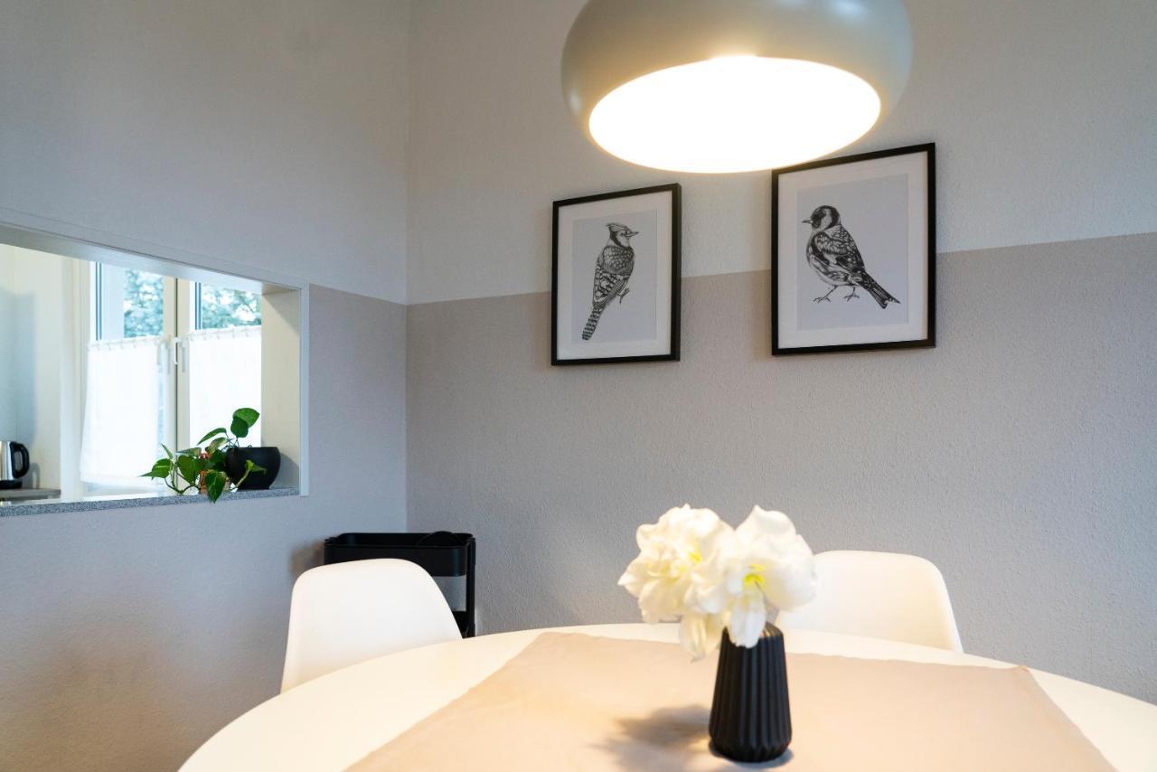 Harzquartier Appartement Friedrichsbrunn Buitenkant foto