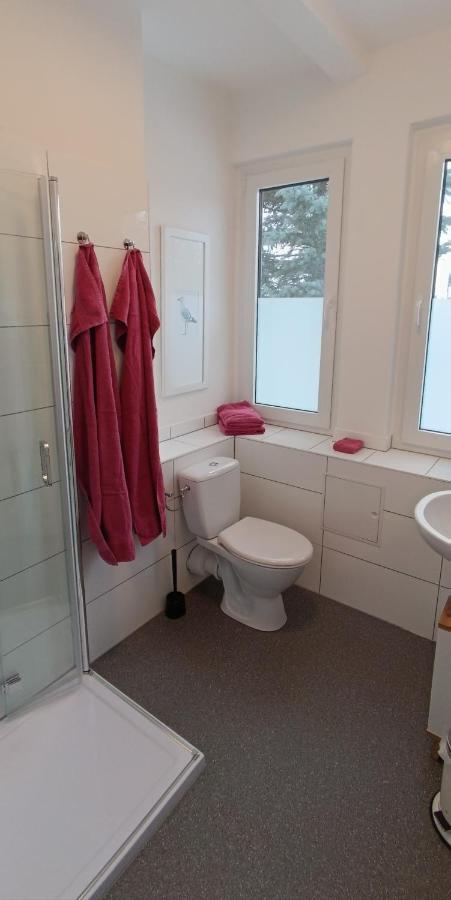 Harzquartier Appartement Friedrichsbrunn Buitenkant foto